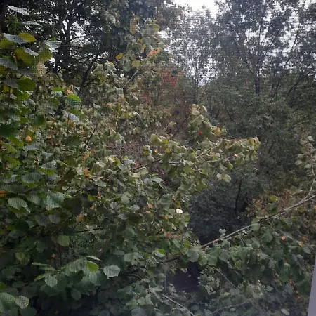 Alba 게스트하우스 3*