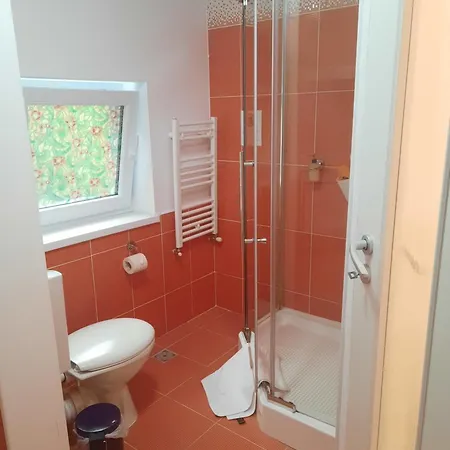 Guest house Alba 3*