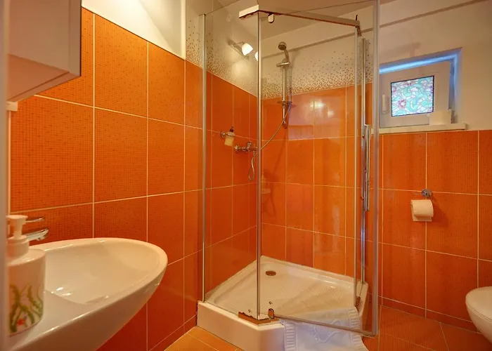 Guest house Alba Brasov